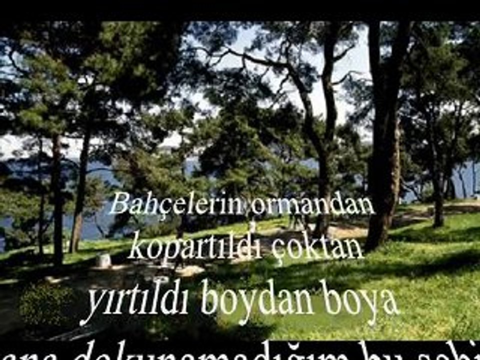 Ahmet Ertan MISIRLI -- Şairi Şiiri Yaşamı Paylaşmak İçin