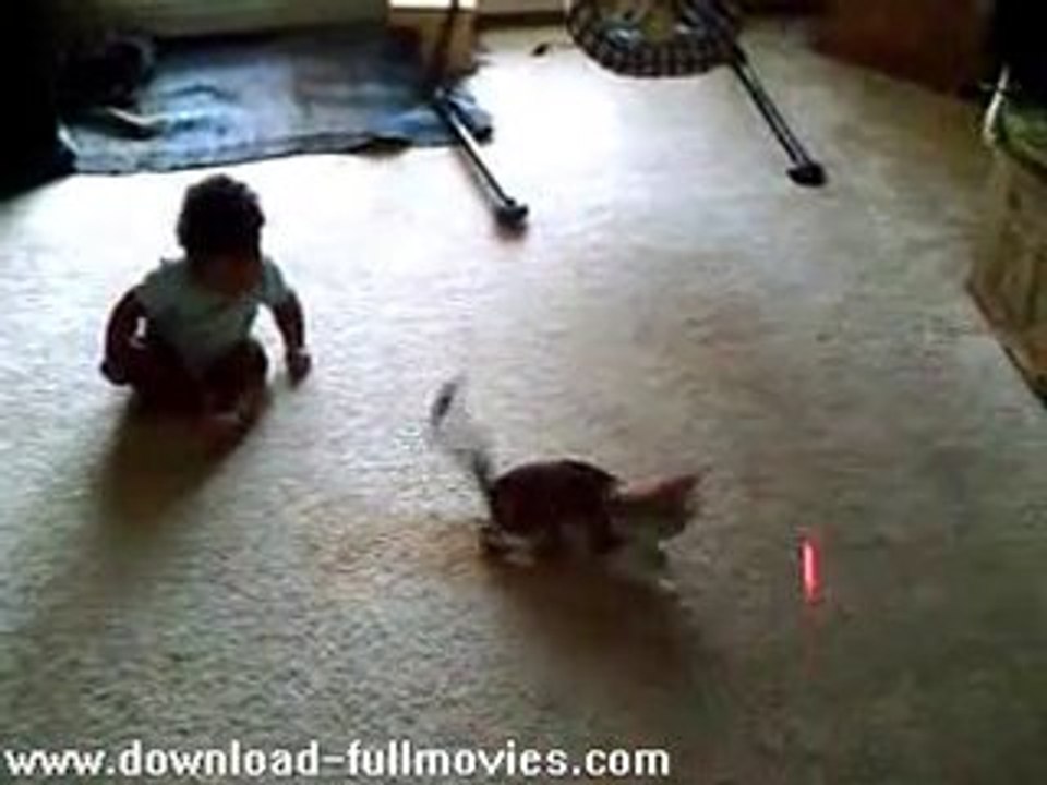 Crazy Cat and Baby