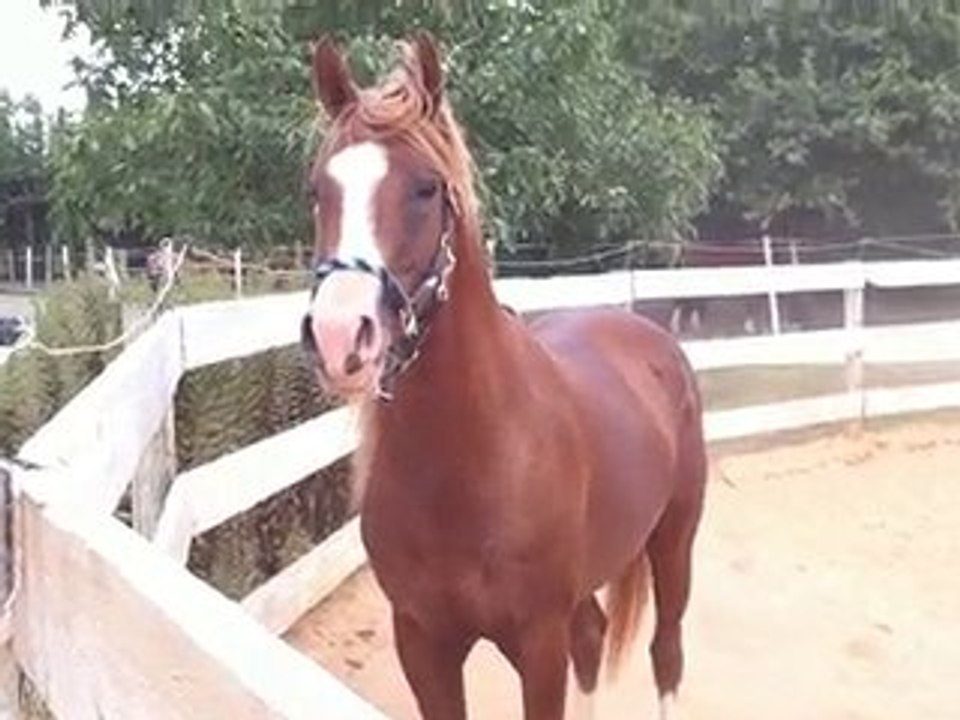 Amghar liberté, Aout 2010