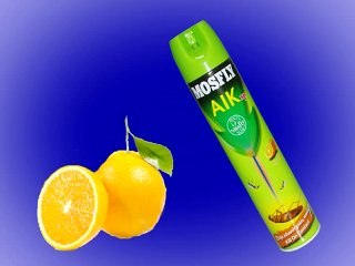 con trung chet, con trung gay hai (3)