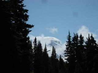 Bella Luna (The Rising Sun Rework)