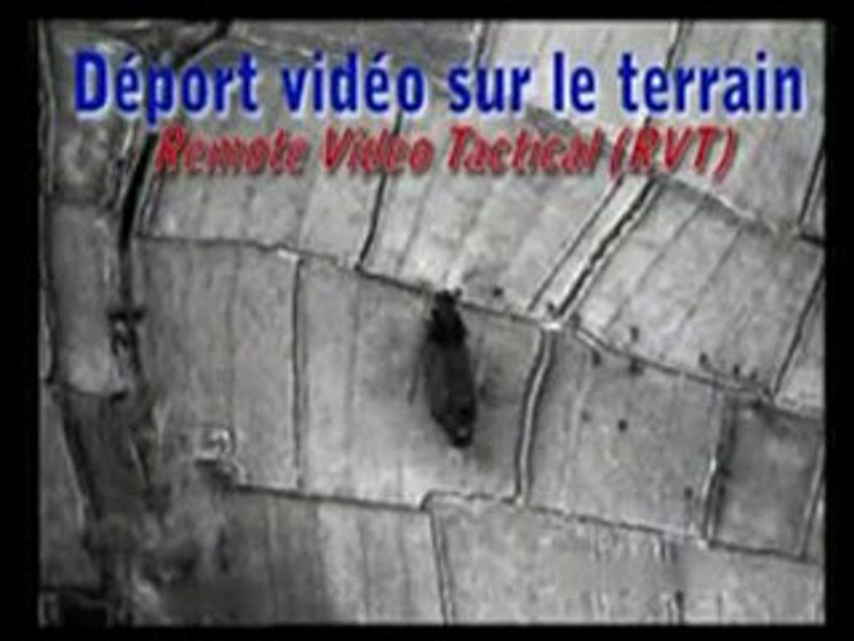 23837722_3aflv_h263_mp3