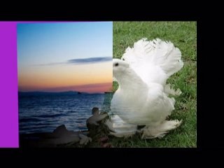 Bestekar Salihi-Unutursun diye-Yapım Salih KIRTIL