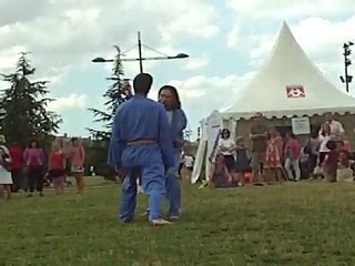 Vovinam Viet Vo Dao - 07