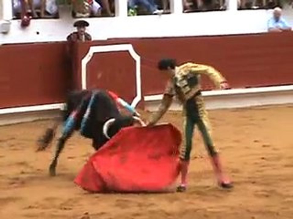 "Kike" (Cédric Fructueux) Tyrosse 2010