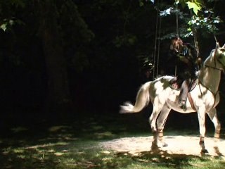 Spectacle nocturne au château d'Azay-le-Rideau