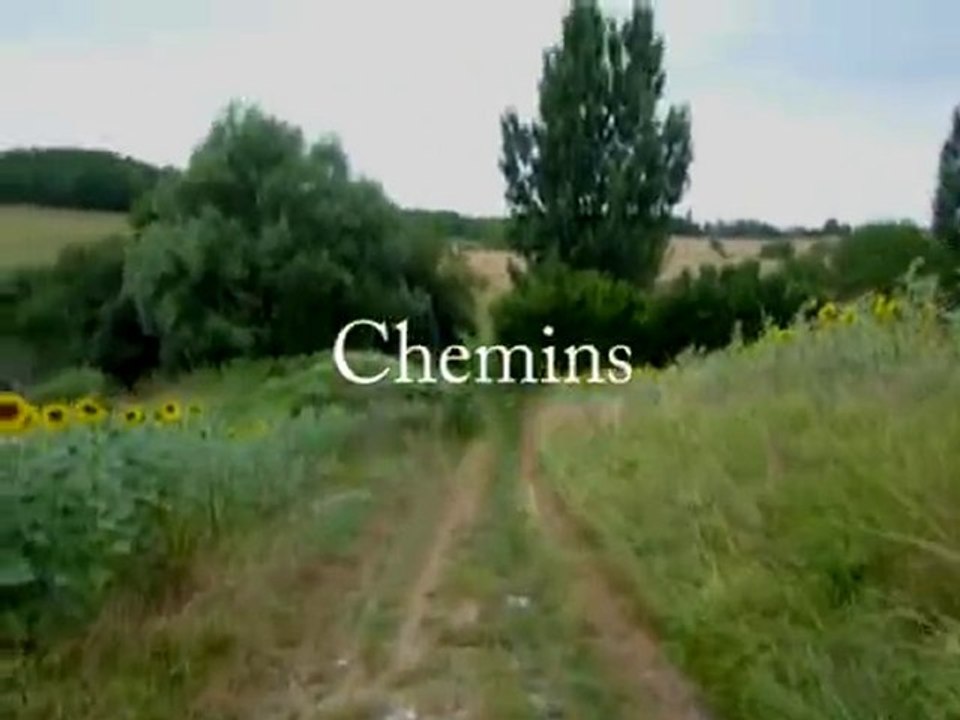 CHEMINS