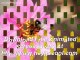 Download Free Animated Bee Screensavers