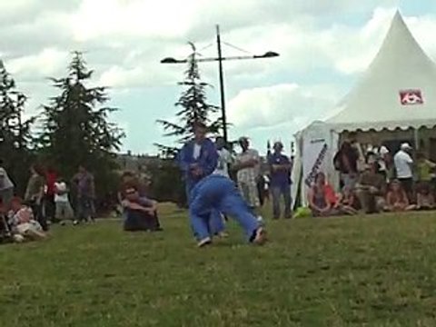 Vovinam Viet Vo Dao - 04