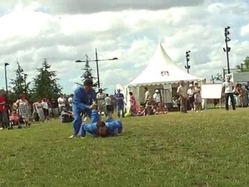 Vovinam Viet Vo Dao - 02