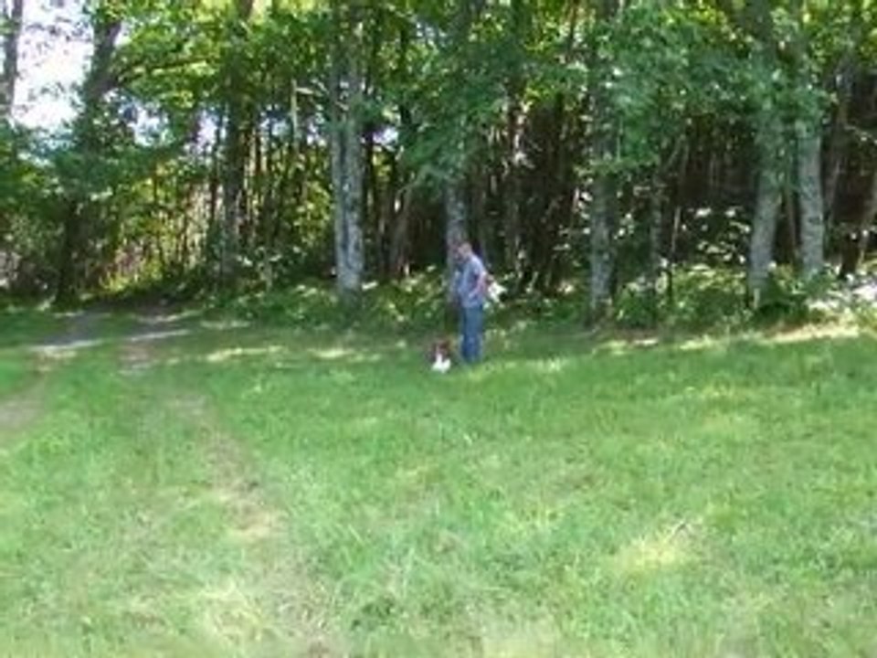 Chinook 3 ans - une après-midi en Dordogne-Juillet 2010