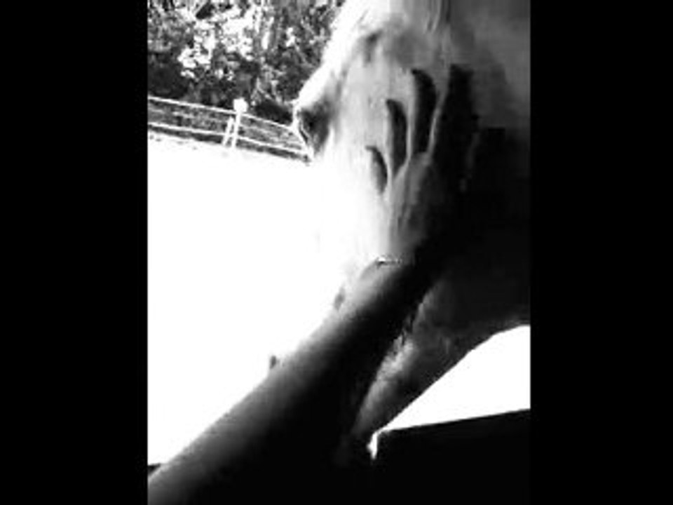 Souvenir souvenir... Mon Diable et moi