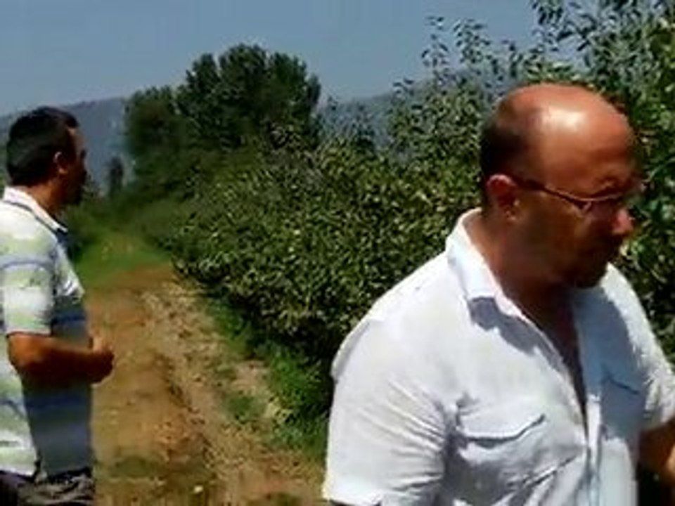 BA29 Bodur Deveci Bahçesi - 3 Ağustos (1)