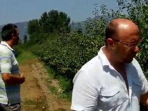 BA29 Bodur Deveci Bahçesi - 3 Ağustos (1)