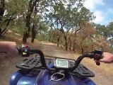 Winemaker cam: touring our vineyards on an electric ATV