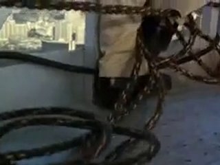 Police Academy 6: City Under Siege