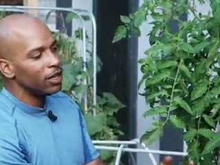 Tomatoes 101 with William Moss