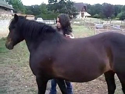 VID 00047-20100803-1940.3GP