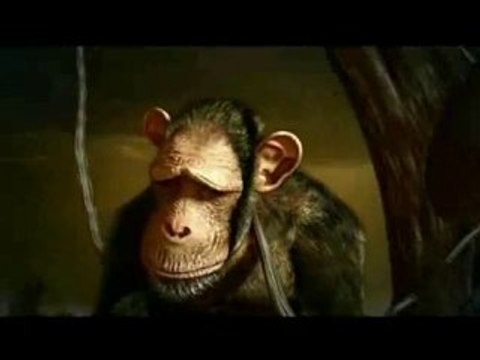 Quercus Stop Global Warming