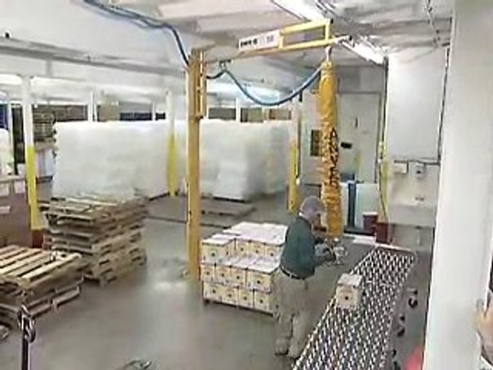 Jib Crane / Light Capacity / Material Handling / Crane