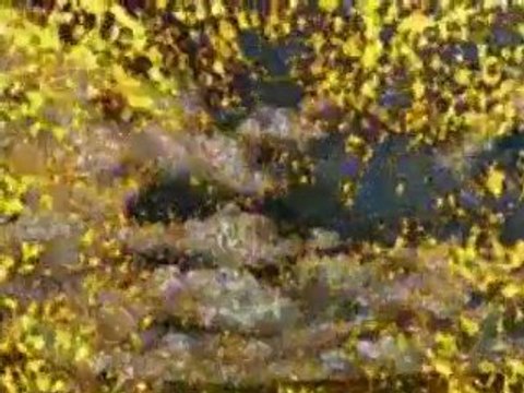 İSLAM TÜRKİYE VESİLESİYLE DÜNYAYA HAKİM OLACAK İNŞAALLAH.