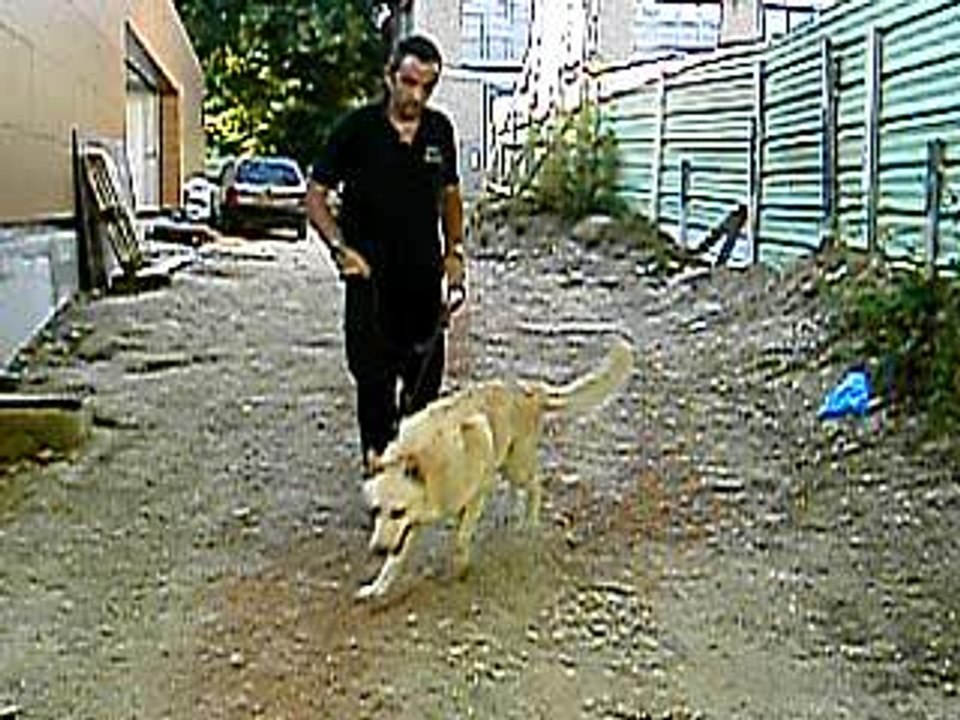 ARES A L ATTAQUE L AIRE DE RIEN