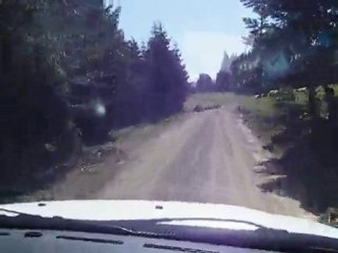 Samandereden Abanta Gidiş Yolu 2