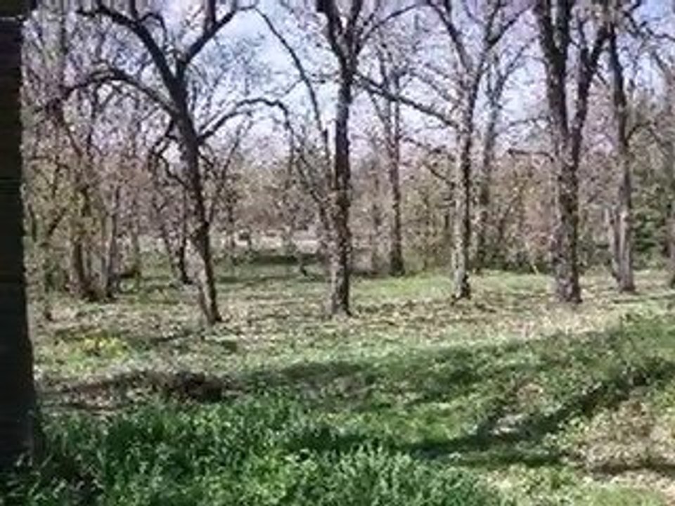 Homes for Sale - 8S560 River Dr - Naperville, IL 60565 - Col