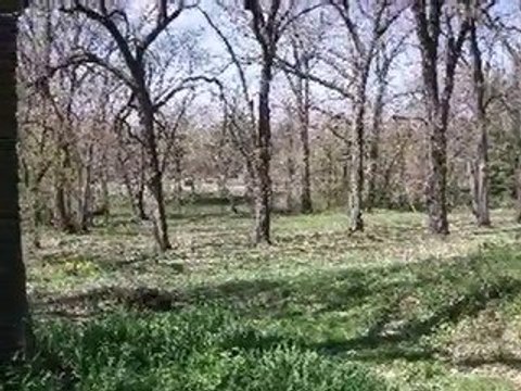 Homes for Sale - 8S560 River Dr - Naperville, IL 60565 - Col