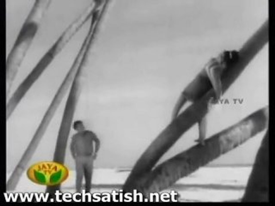 Kuyilaga Naan Irundhenae