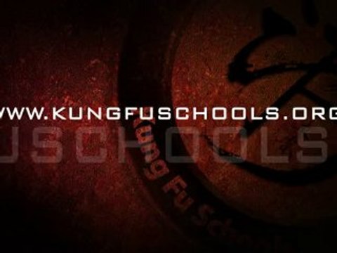 Danii Overcame Her Fears in Kung Ku Schools