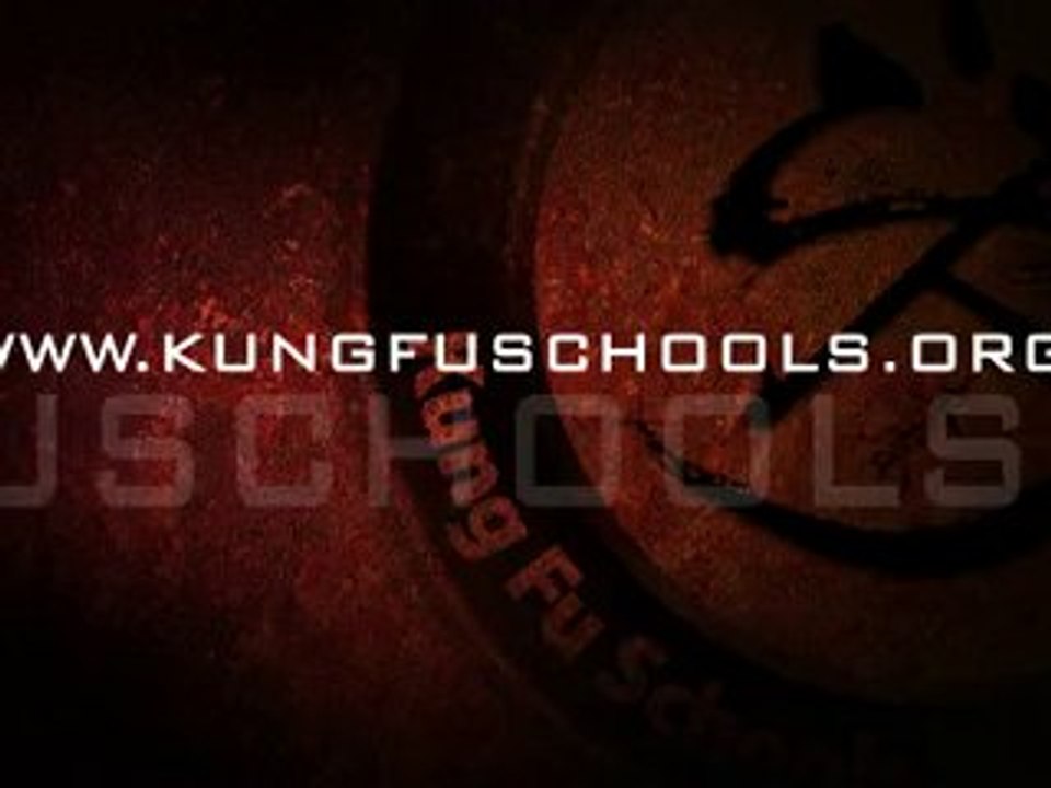 Danii Overcame Her Fears in Kung Ku Schools