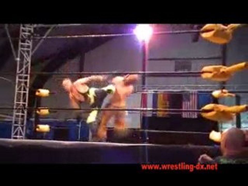 FDC 4 - Johnny Storm vs Lion Kid