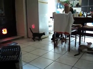 elliot et dakota,enfin !!!!! 001