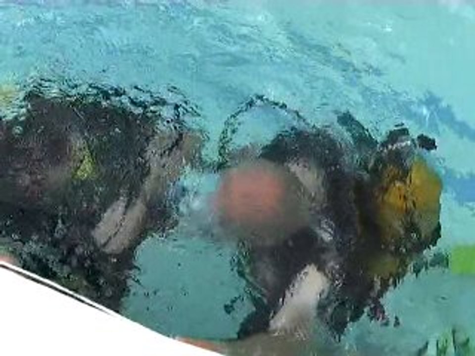 Un beau succès pour le baptême de plongée