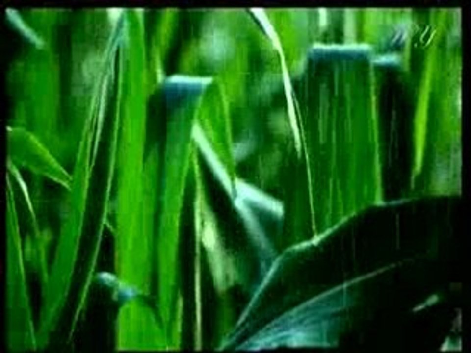 İman hakikatleri imanın kazanılmasına vesile olur