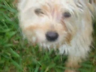 Camille sous la pluie