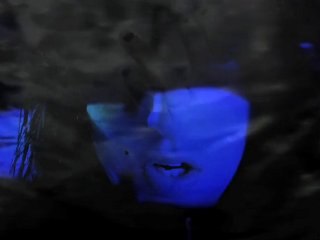 Wildbirds & Peacedrums - Bleed Like There Was No Other Flood