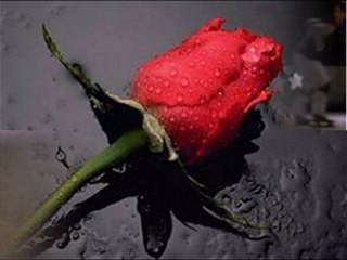 drtaydin-şiir beno eskiben değilim murat soydemir