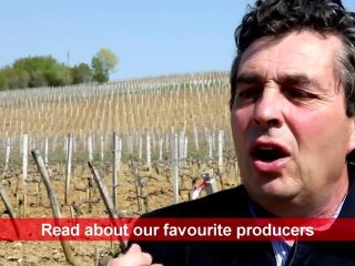Discover the Expertise of Renowned Winemaker Denis Dubourdieu 🍷