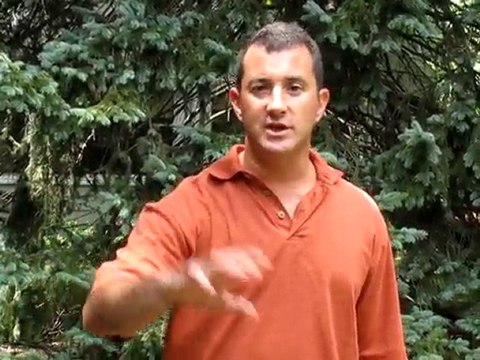 Psychologist, Consultant & Coach - dr brett denkin