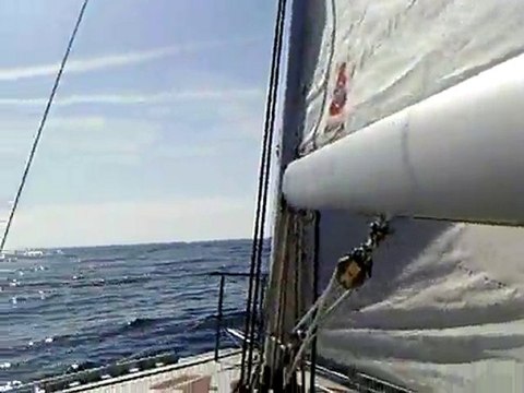 mini 650 n°402 qualif 1