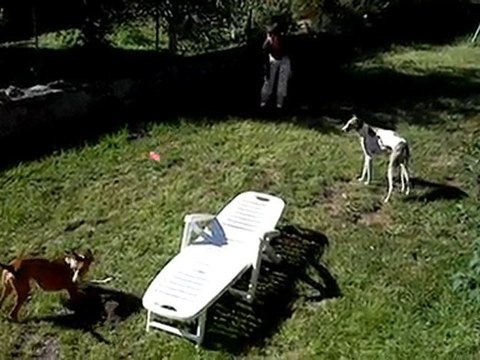 Magie en vacances avec ses copains