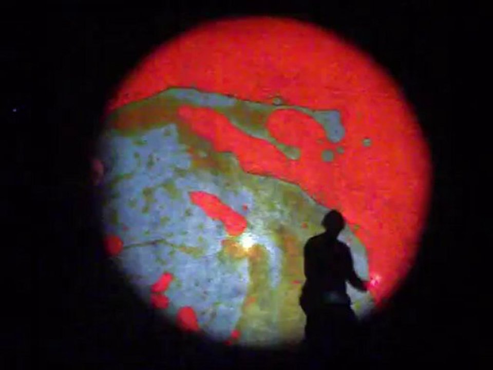 arboréalis - ombres chinoises