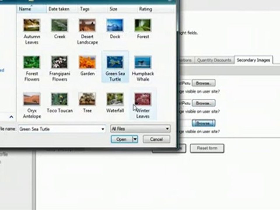 Shopping Cart software :Pinnacle Cart: Adding secondary imag