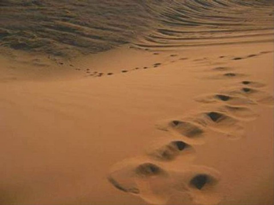 La définition du Taghout par Chaykh Ibn Qayyim