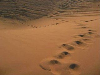 La définition du Taghout par Chaykh Ibn Qayyim