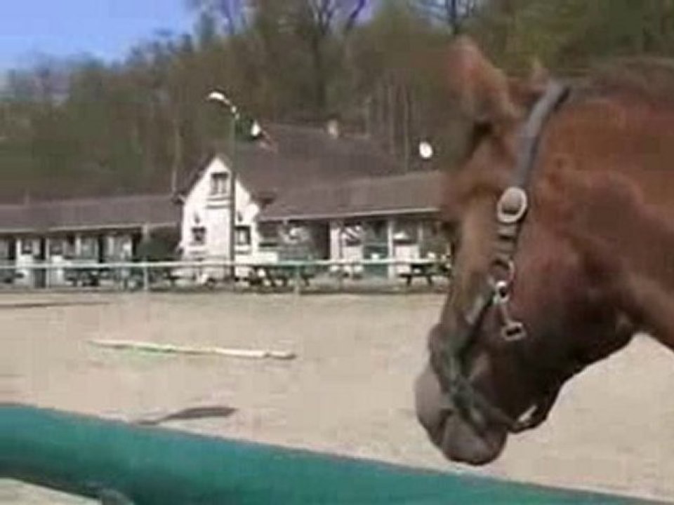 10519_Centre_equestre_valide