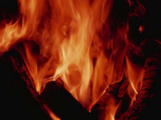 Toutes personnes gens elus est un Taghout