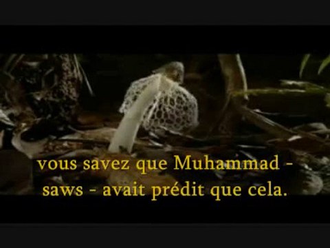 The Muslim Village - Sheikh Imran Hosein Pt. 2